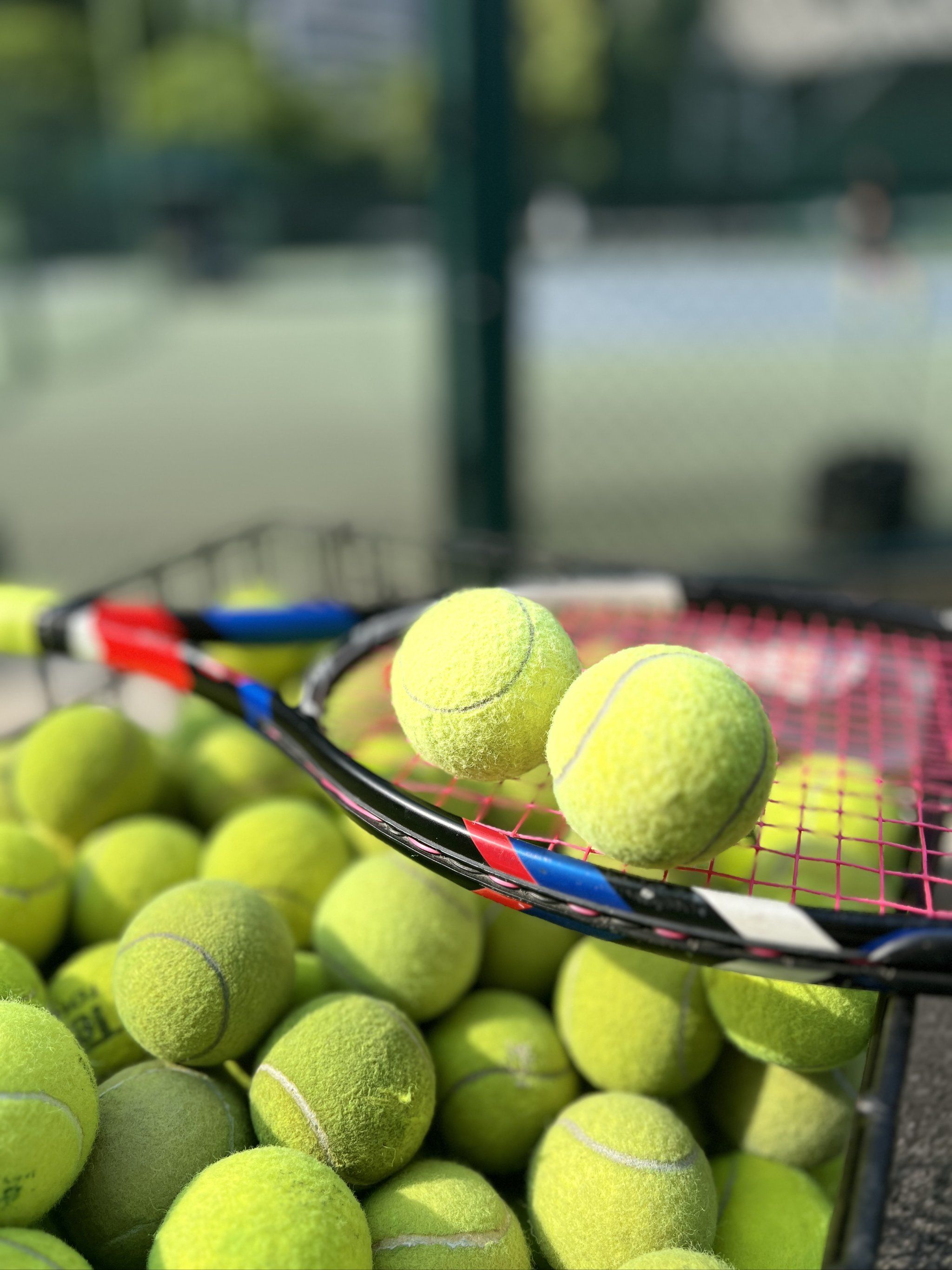 和针对性的 和针对性的