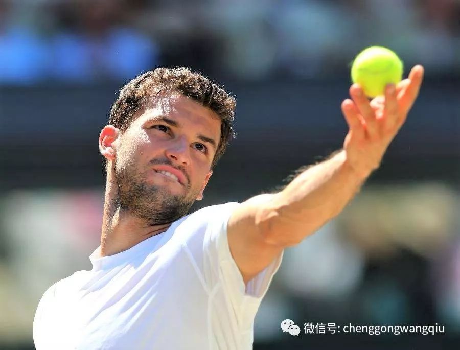 陈雨菲的状 陈雨菲的状