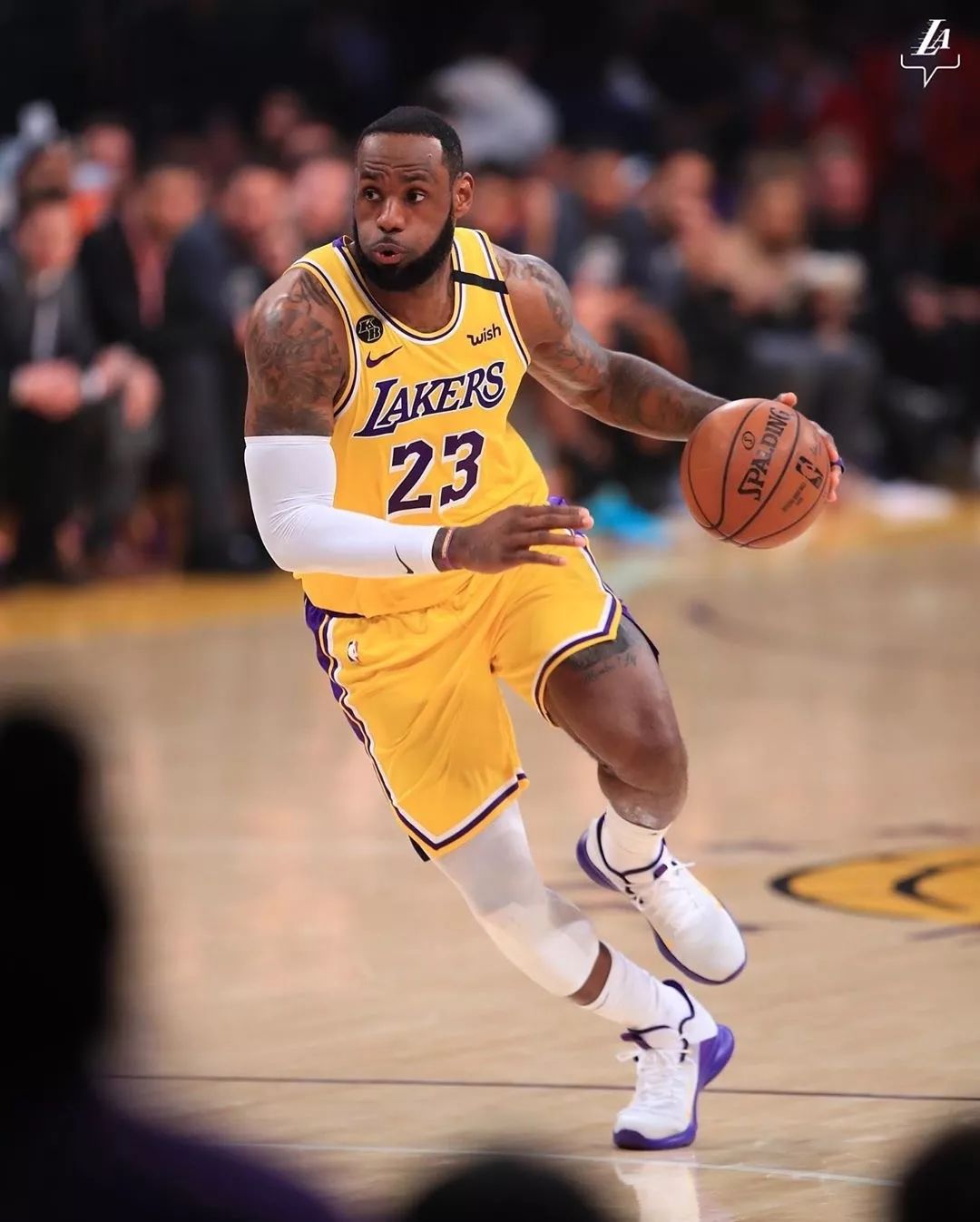 回放显示轻 回放显示轻